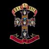 Appetite For Destruction